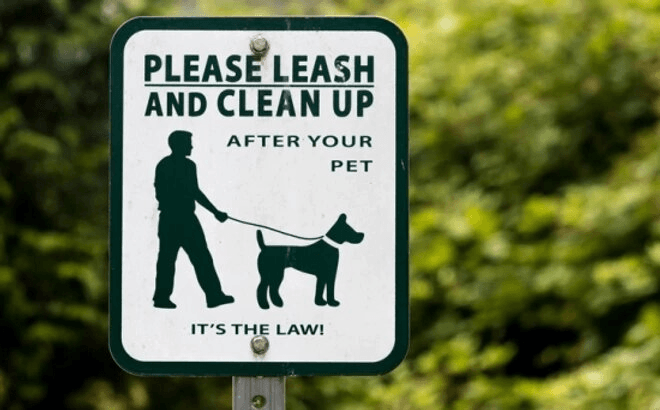 HOA Pet Policies: What Every Homeowner Should Know